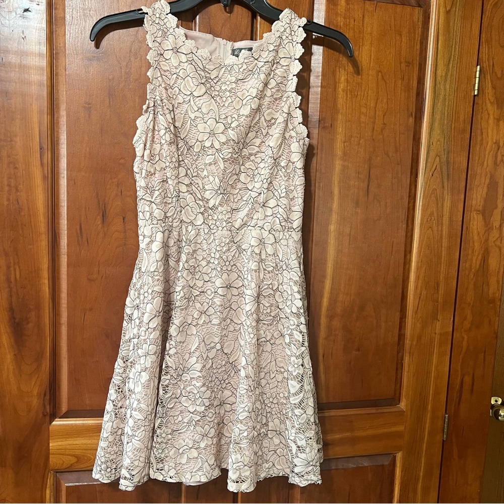 Lily Rose Sleeveless Lined Dress~Lace Floral Crochet Dusty Rose Pink